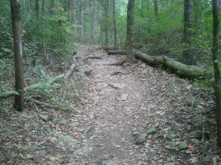 Edwin Warner Trail
